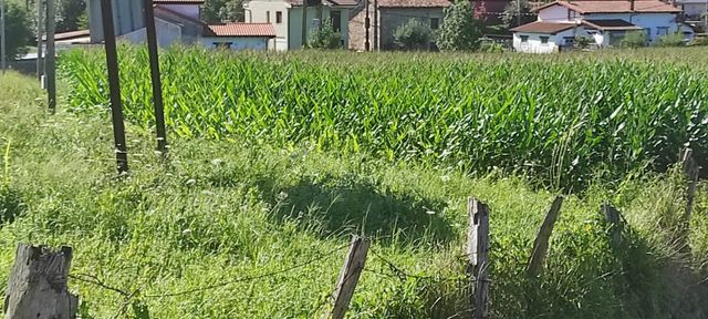 Suelo urbano residencial en Golbardo - Reocín