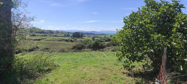 Finca Rústica en Pol. 11. Parcela 6. Sta. Cruz de Bezana